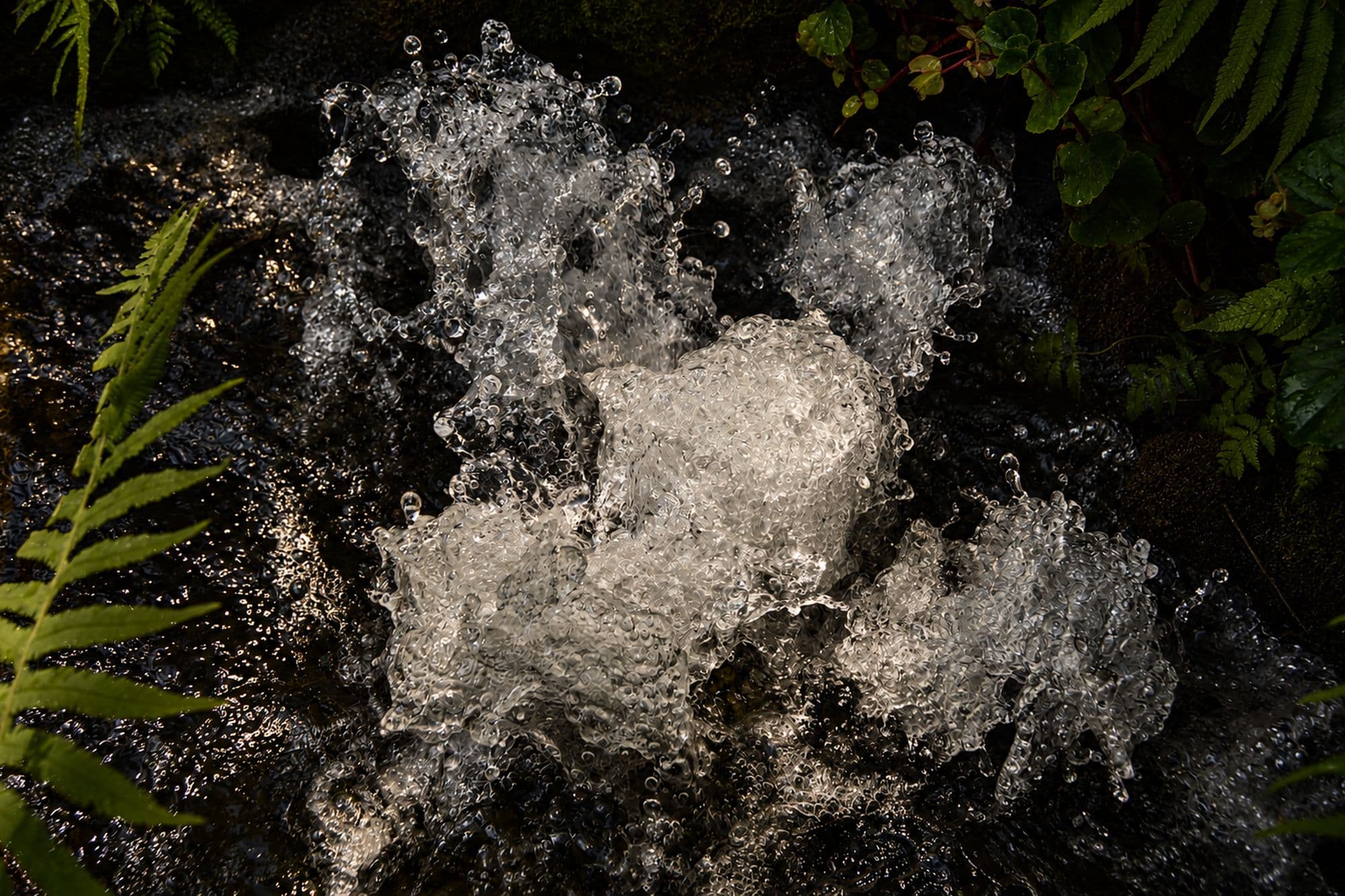 Quarry Glass II