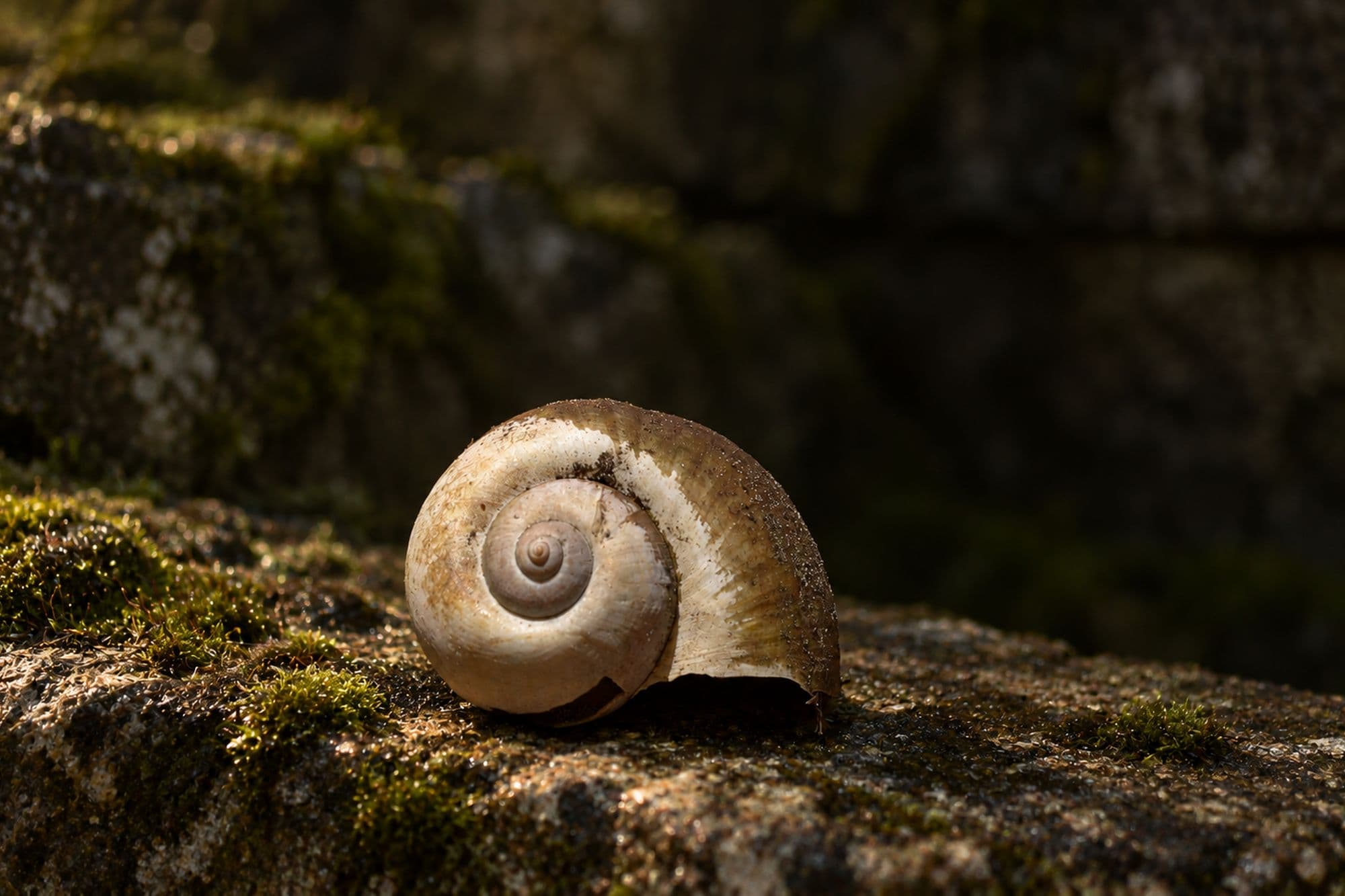 Quarry Spiral