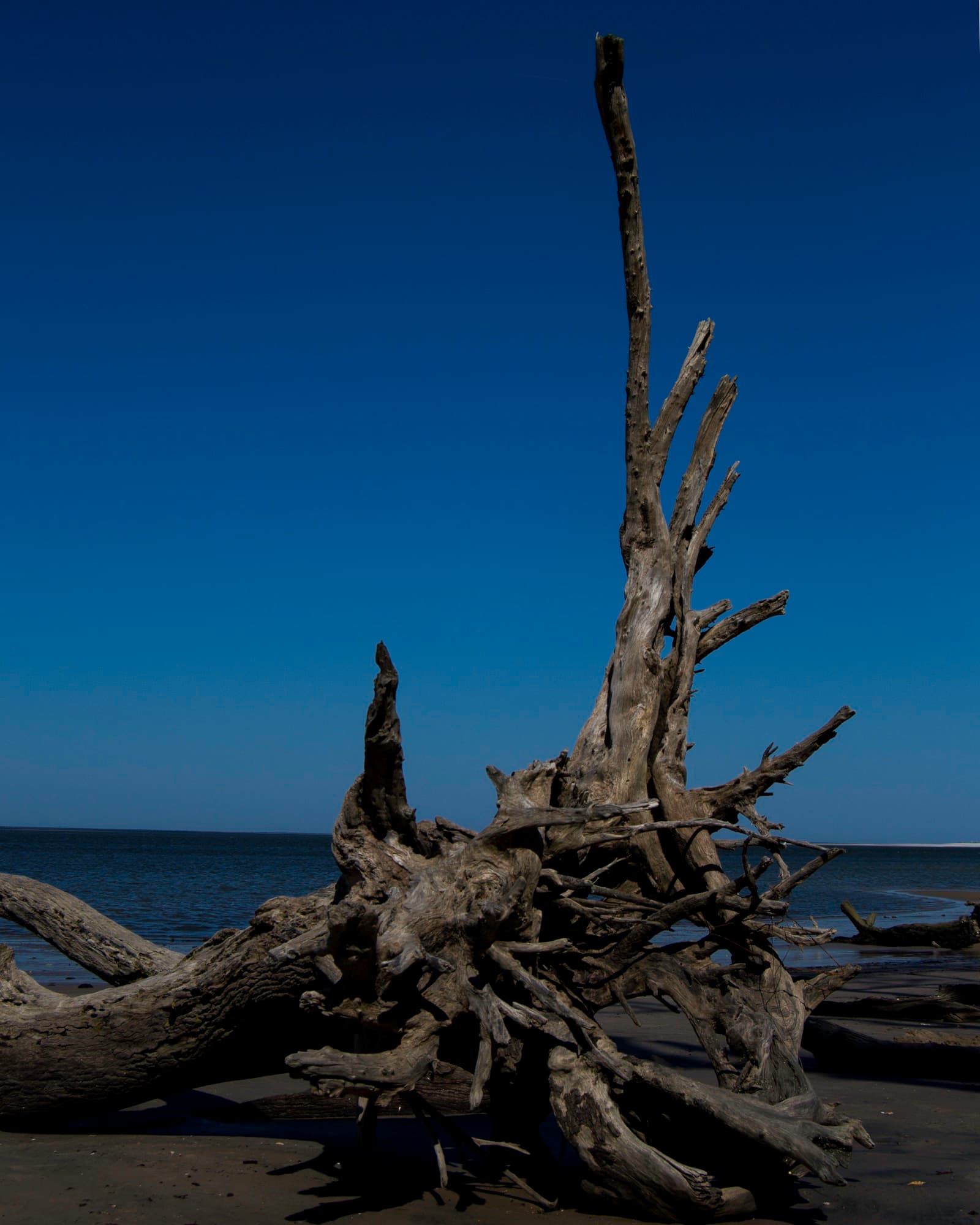 Boneyard Beach IV