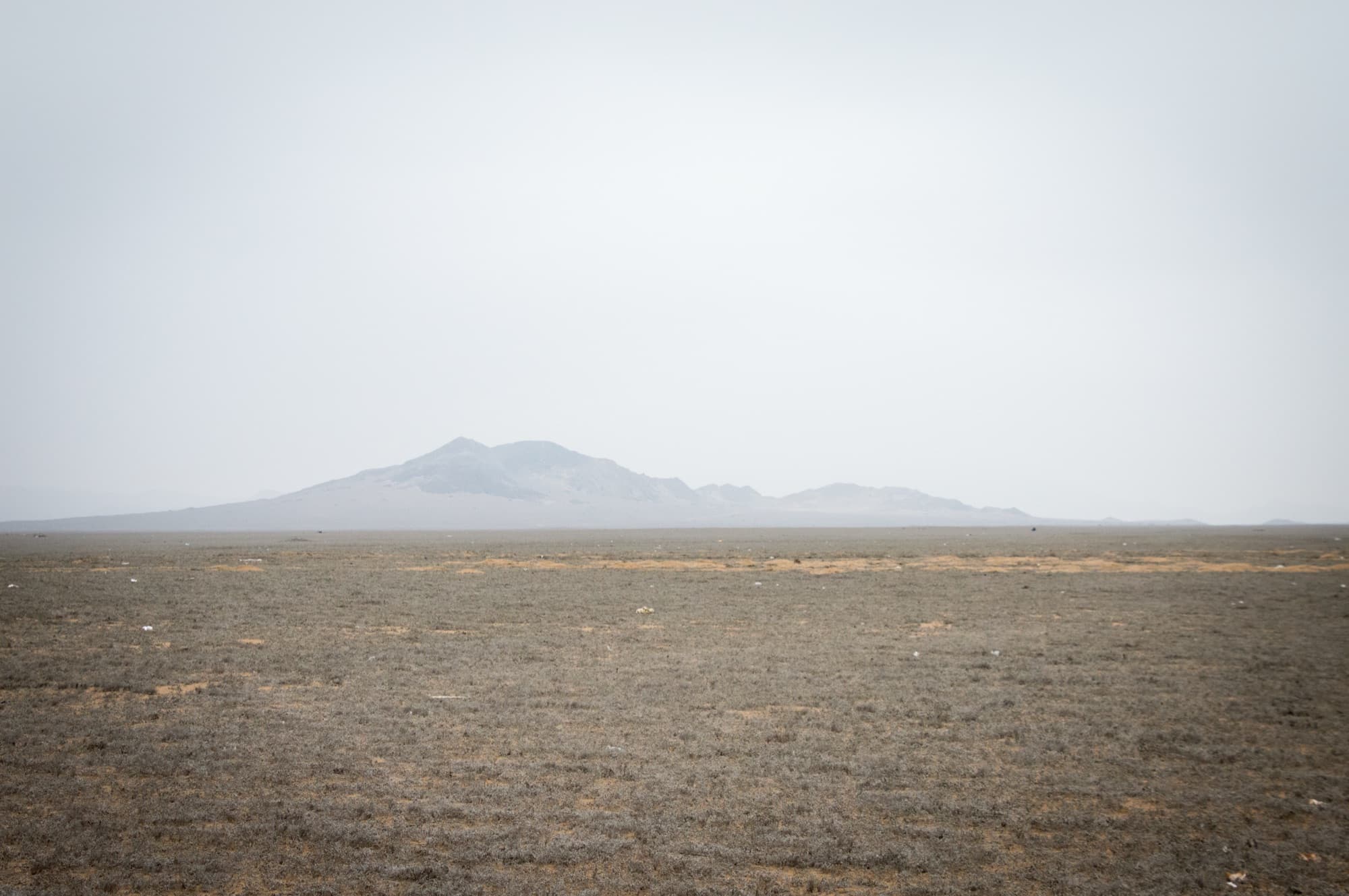 Desert Light I